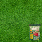 All Season Evergreen Grass Seeds (Pack of 4)
